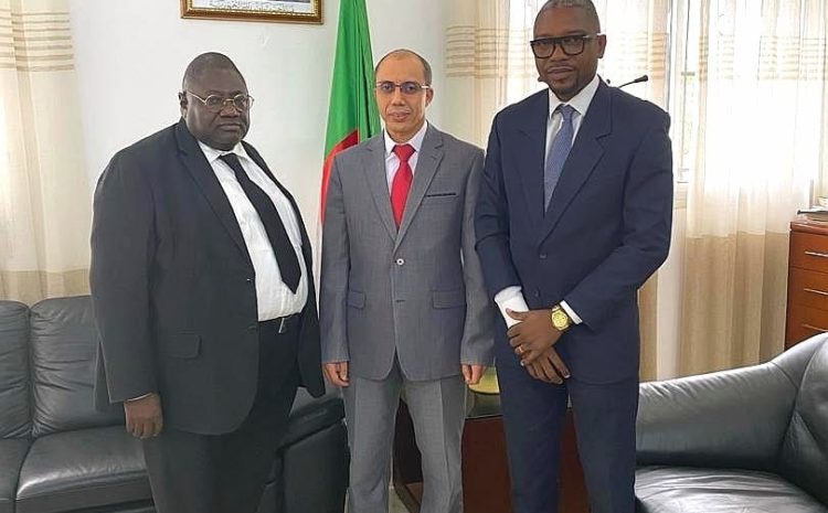 Coopération régionale : Les discussions entre la délégation OMEI – Afrique de l’Ouest et l’ambassadeur d’Algérie au Cameroun ouvrent de nouvelles perspectives